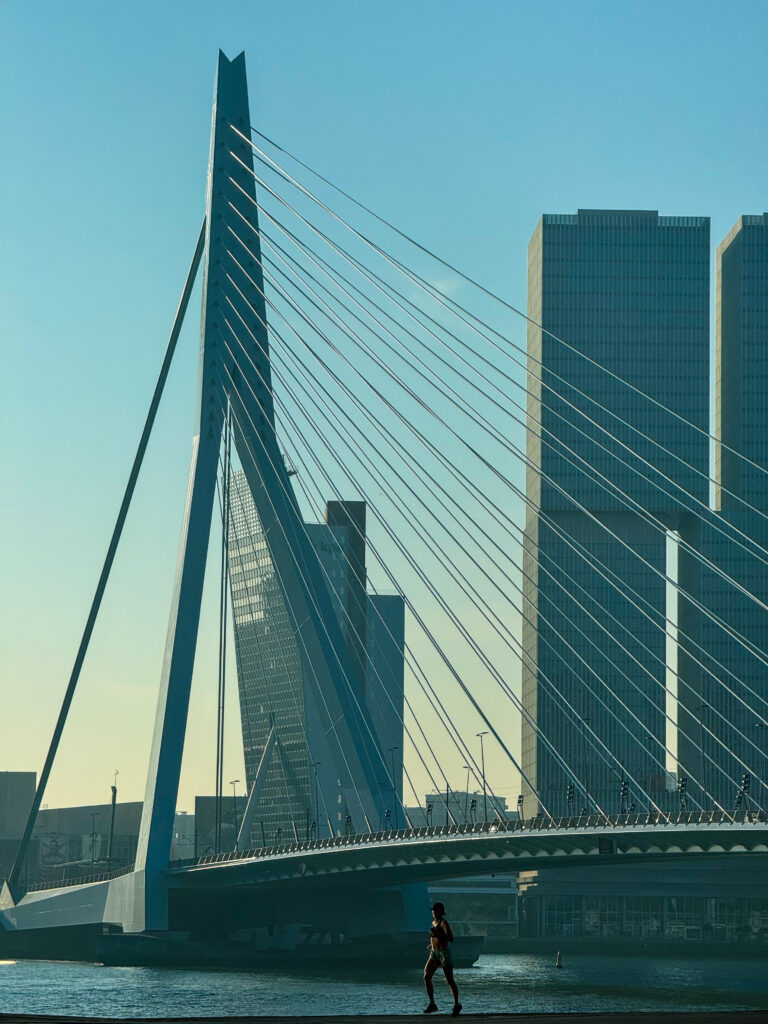 Erasmus Bridge Rotterdam